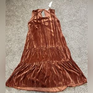 Midi Velvet Dress